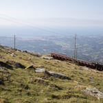 Pourquoi le rouge et le vert au Pays basque ?