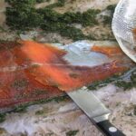 Pourquoi le saumon bio Est-il dangereux ?