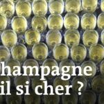 Pourquoi le skyr est cher ?