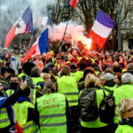 Pourquoi les canetons sont jaunes ?