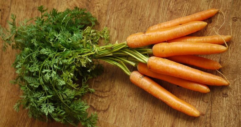 Pourquoi les carottes moisissent ? Pourquoi les carottes moisissent ?