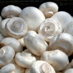 Pourquoi manger des champignons ?
