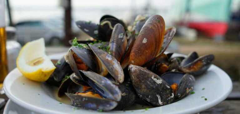 Pourquoi manger des moules ?