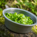 Pourquoi manger des nems avec de la salade ?