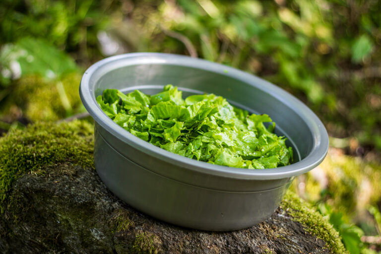 Pourquoi manger des nems avec de la salade ? Pourquoi manger des nems avec de la salade ?