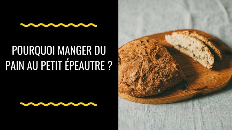 Pourquoi manger du pain d’épeautre ? Pourquoi manger du pain d'épeautre ?