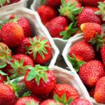 Pourquoi mes fraises n'ont pas de goût ?
