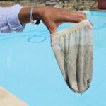 Pourquoi mettre des marrons dans sa poche ?