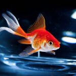 Pourquoi mettre le poisson dans la farine ?