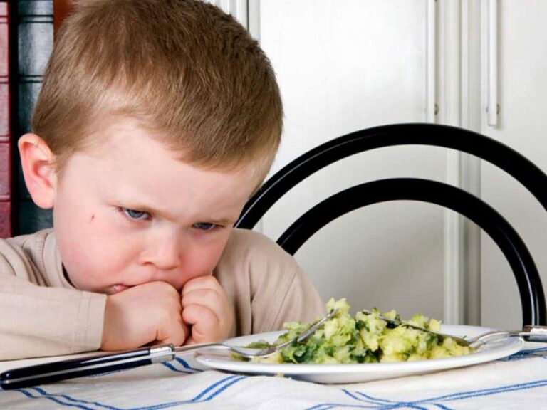 Pourquoi mon enfant ne veut pas manger de viande ?