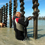 Pourquoi moule de corde ?