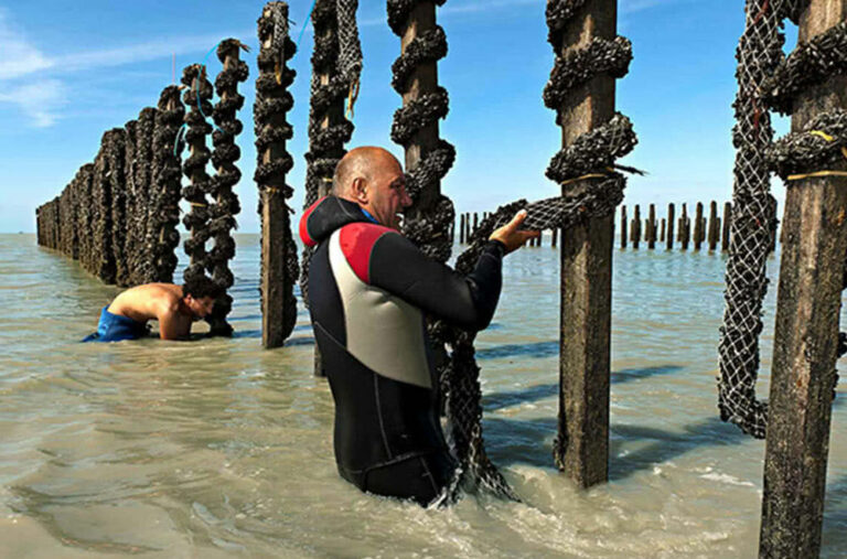 Pourquoi moule de corde ? Pourquoi moule de corde ?