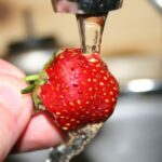 Pourquoi ne pas laver les fraises ?