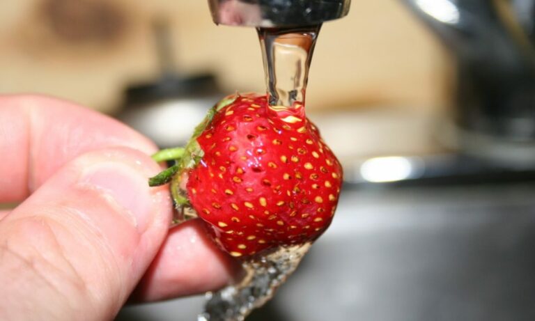 Pourquoi ne pas laver les fraises ?