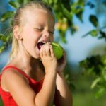 Pourquoi ne pas manger de concombre le soir ?