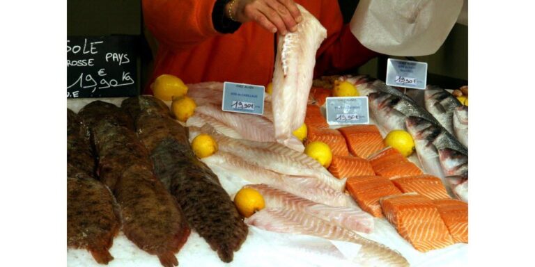 Pourquoi ne pas manger du poisson tous les jours ?