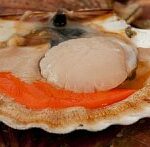 Pourquoi ne pas manger le corail des coquilles St-jacques ?