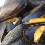 Pourquoi ne pas manger les moules qui flottent ?