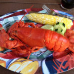 Pourquoi ne pas mettre un homard vivant dans l'eau ?