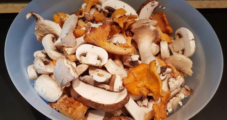 Pourquoi ne pas passer les champignons sous l’eau ? Pourquoi ne pas passer les champignons sous l'eau ?