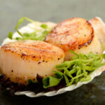 Pourquoi on appelle les coquilles Saint-jacques ?