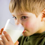 Pourquoi on ne boit pas le lait de truie ?