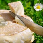 Pourquoi pas de fromage au lait cru enceinte ?