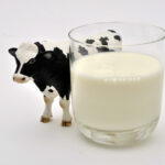 Pourquoi pas de lait cru ?
