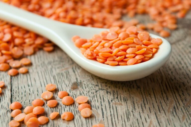 Pourquoi rincer les lentilles corail ?