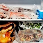 Pourquoi un aliment Peut-il se périmer ?