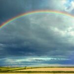 Pourquoi y A-t-il de l'eau dans ma quiche ?