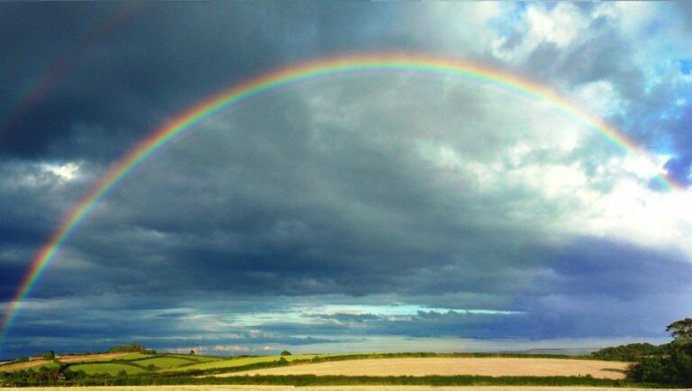 Pourquoi y A-t-il de l’eau dans ma quiche ? Pourquoi y A-t-il de l'eau dans ma quiche ?