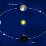 Pourquoi y A-t-il des vers dans les cèpes ?