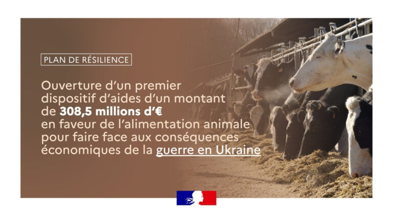 Programme de résilience : ouvrir la première fenêtre pour soutenir les éleveurs confrontés à l’impact du conflit en Ukraine