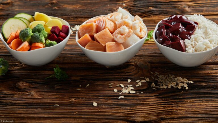 Protéine animale, protéine végétale : sont-elles équivalentes ?