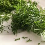 Quand Couper l'aneth ?