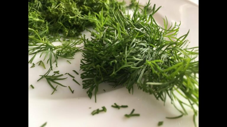 Quand Couper l’aneth ? Quand Couper l'aneth ?