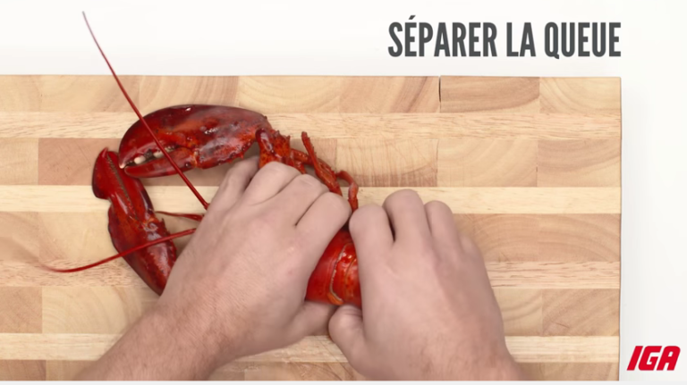 Quand Decongeler un homard ?
