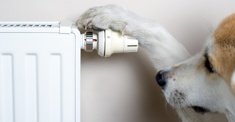 Quand Peut-on baisser son forfait ?