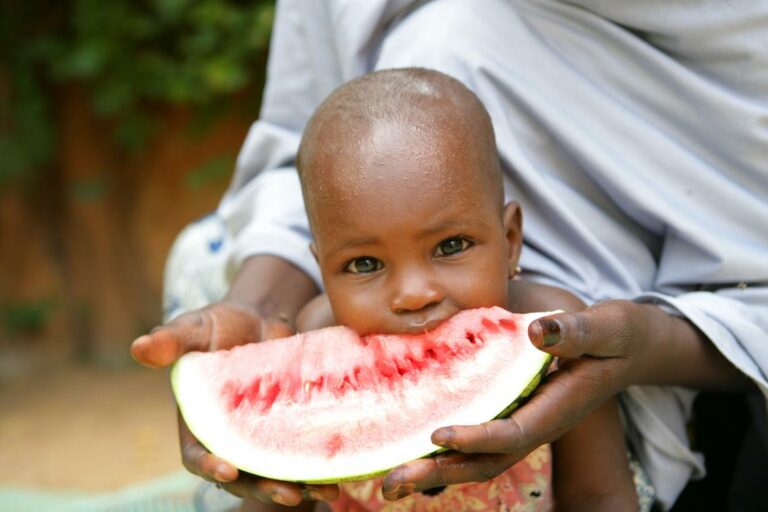 Quand bébé peut manger fruit de mer ? Quand bébé peut manger fruit de mer ?