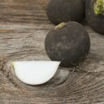 Quand boire le jus de radis noir ?
