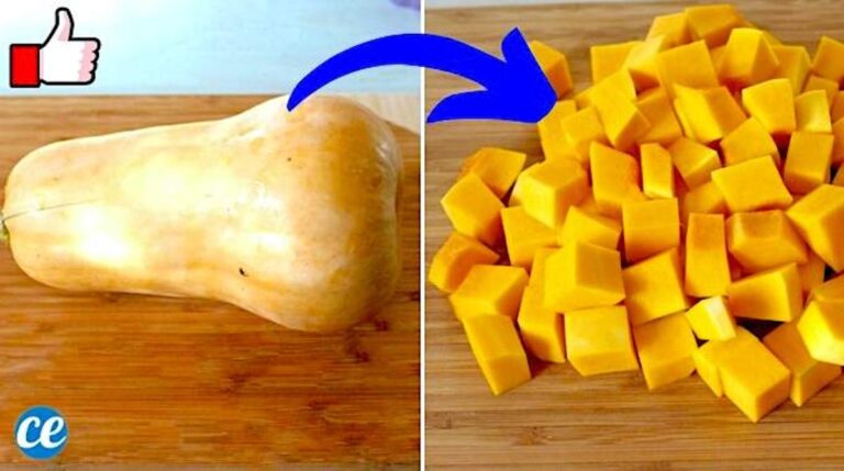 Quand couper les butternut ?