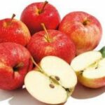 Quand cueillir la pomme Royal Gala ?