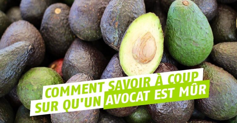 Quand et comment manger un avocat ?