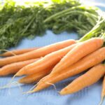 Quand les carottes ne sont plus bonnes ?