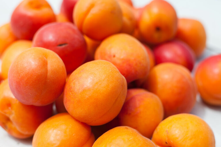 Quand manger abricot ? Quand manger abricot ?
