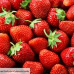 Quand manger des fraises ?