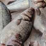 Quand manger un poisson décongelé ?