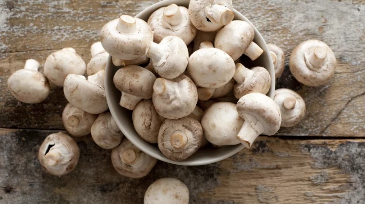 Quand ne plus manger des champignons ? Quand ne plus manger des champignons ?