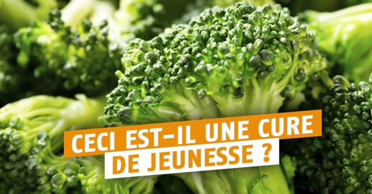 Quand ne plus manger un brocolis ?